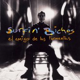 Surfin Bichos El amigo de las tormentas Remasterizado LP+CD Vinilo en SMFSTORE