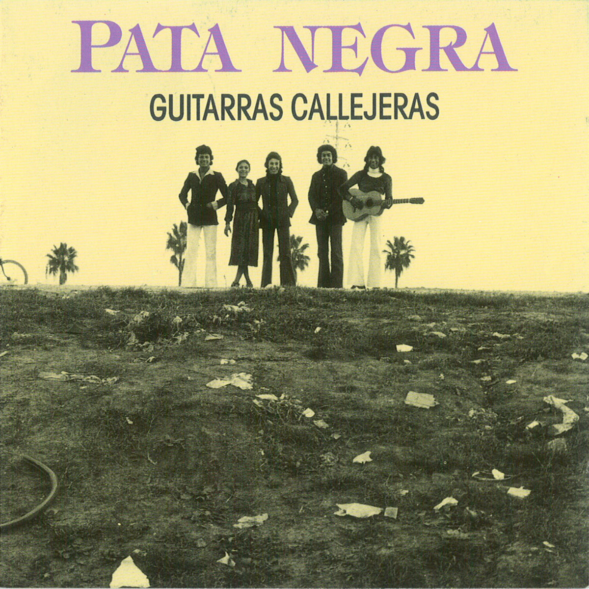 Guitarras Callejeras
