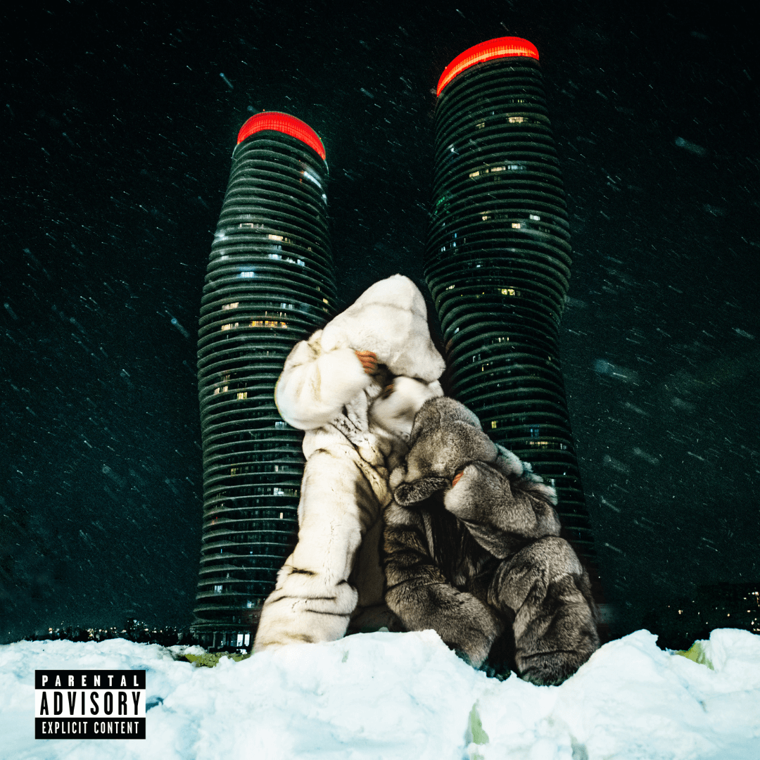 $ome $exy $ongs 4 U 2LP Partynextdoor & Drake en SMFSTORE