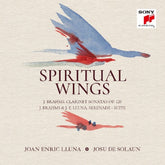 Spiritual Wings CD Joan Enric Lluna & Josu de Solaun en Smfstore