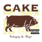 Prolonging the magic LP Cake SMFSTORE